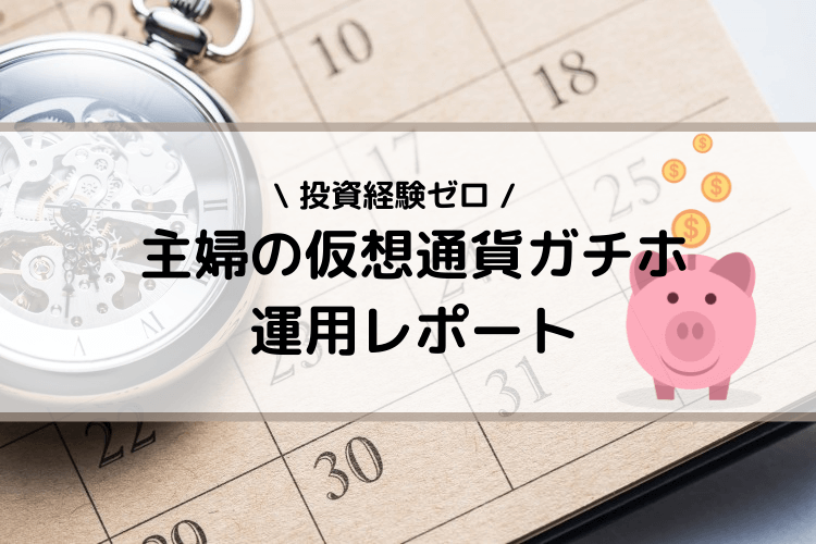 仮想通貨ガチホ｜ほったらかし運用レポート4【2022年6月～9月上旬】